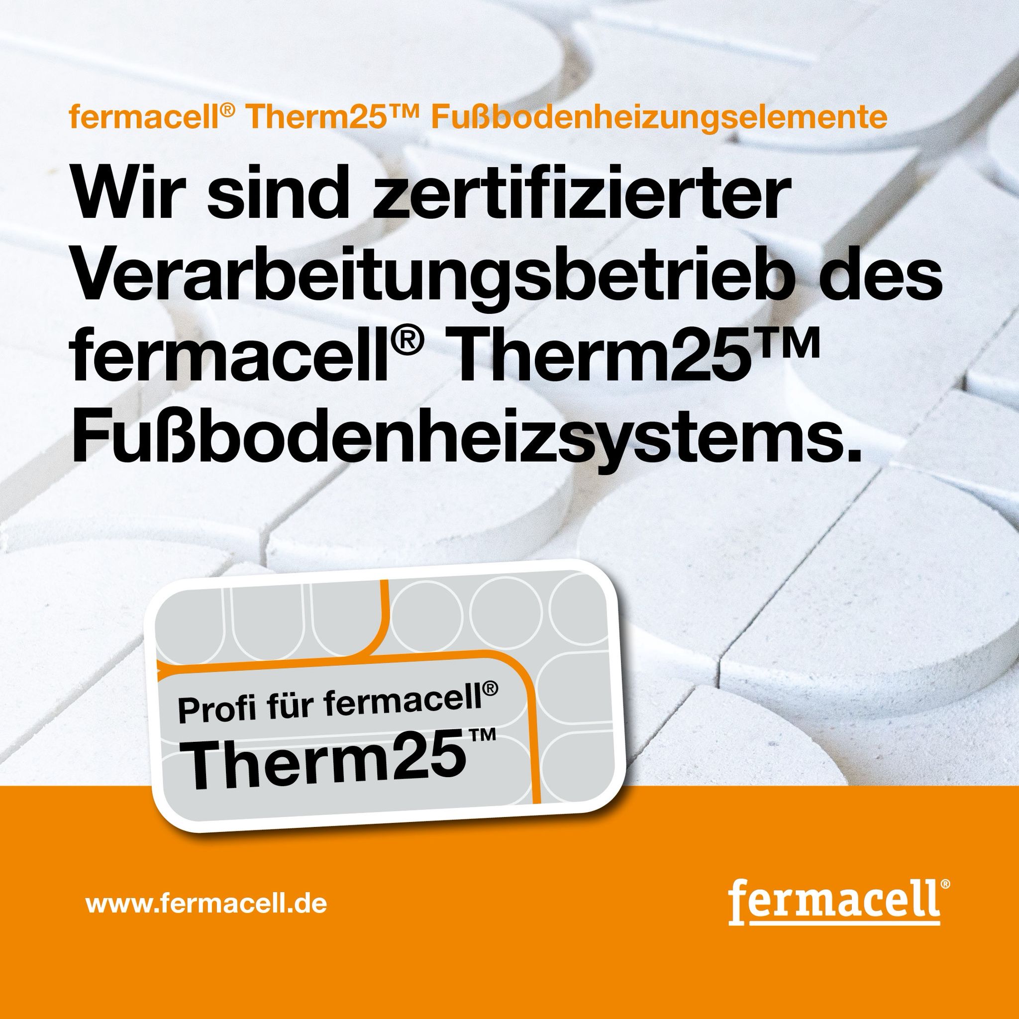 WhatsApp Image 2025-11-25 at 13.51.40